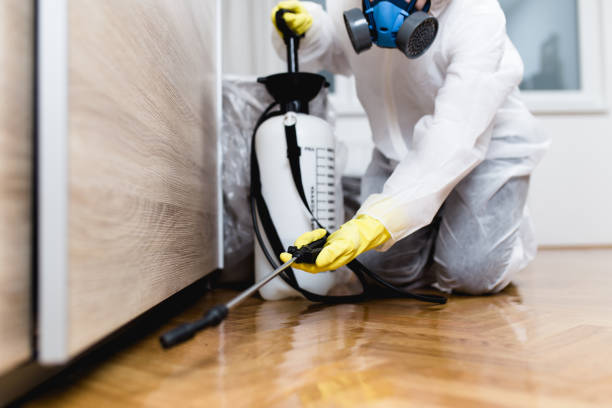 Best Pest Prevention Services  in Grizzly Flats, CA