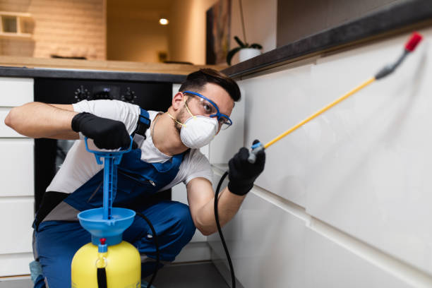 Best Pest Removal Services  in Grizzly Flats, CA