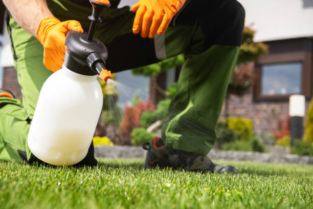 Best Termite Control Services  in Grizzly Flats, CA