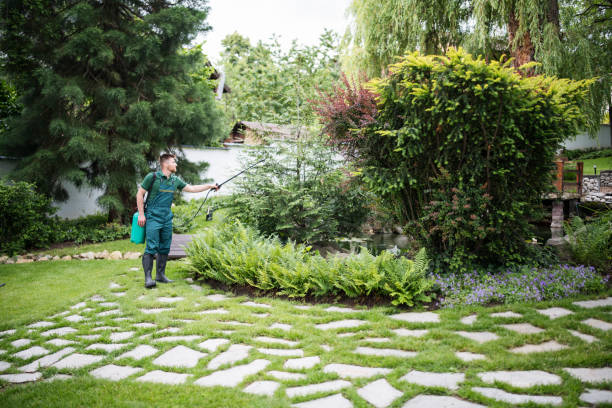 Best Best Pest Control Companies  in Grizzly Flats, CA