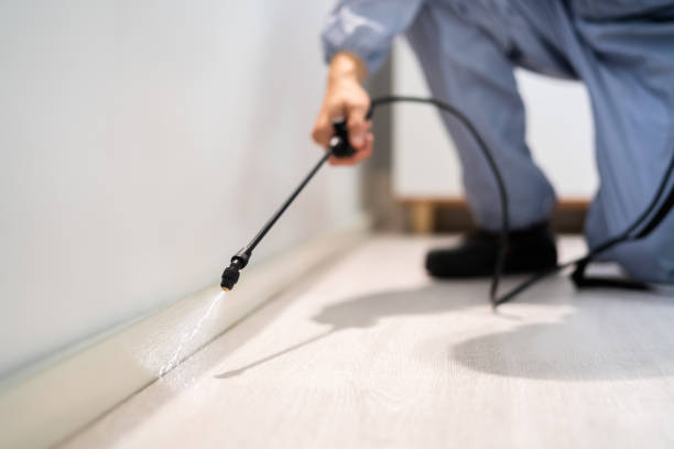 Pest Control Cost in Grizzly Flats, CA
