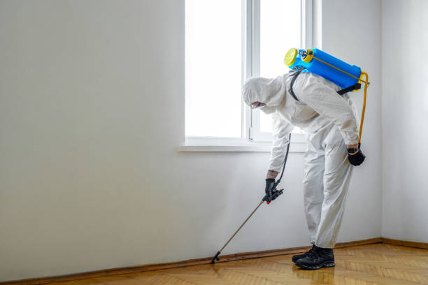 Best Cockroach Control Services  in Grizzly Flats, CA