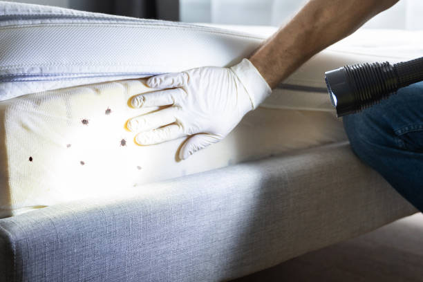 Best Pest Inspection Near Me  in Grizzly Flats, CA