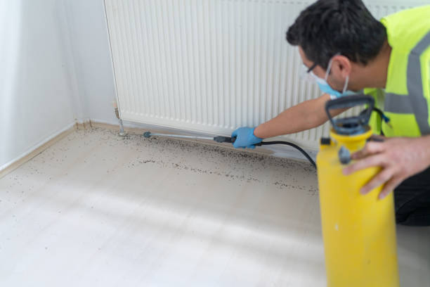 Best Mosquito Control Services  in Grizzly Flats, CA